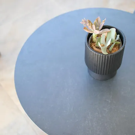 Flowers Daire Krk Town